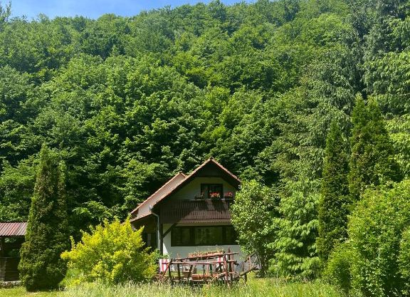 Cottage by the river Valea Draganului