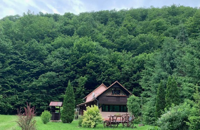 Cottage in a quite place in nature, between forest and river, in Transylvania.