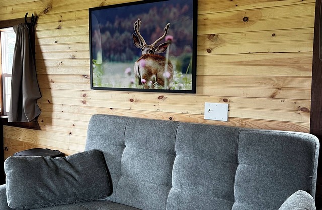 Cozy 1-bedroom cabin in charming Lamar MO with AC