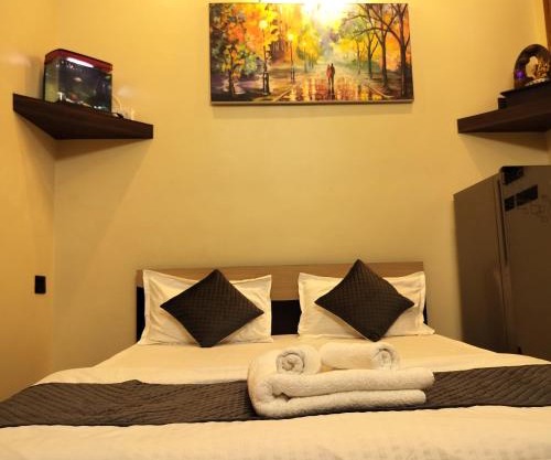 Cozy 1bhk with Terrace.