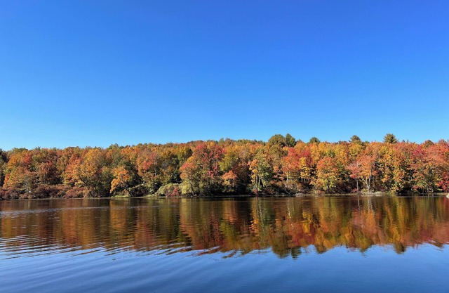 Cozy 2-bedroom cabin in peaceful Swan Lake with WiFi.