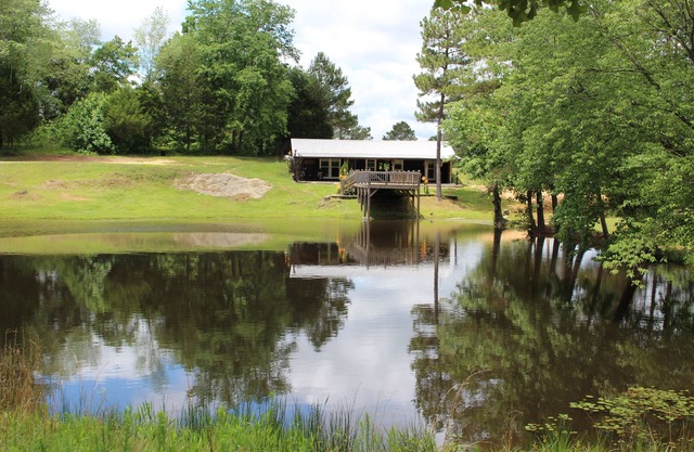 Cozy Cabin in Hamilton w/private pond. Fish, paddle, hike or relax in the tub!