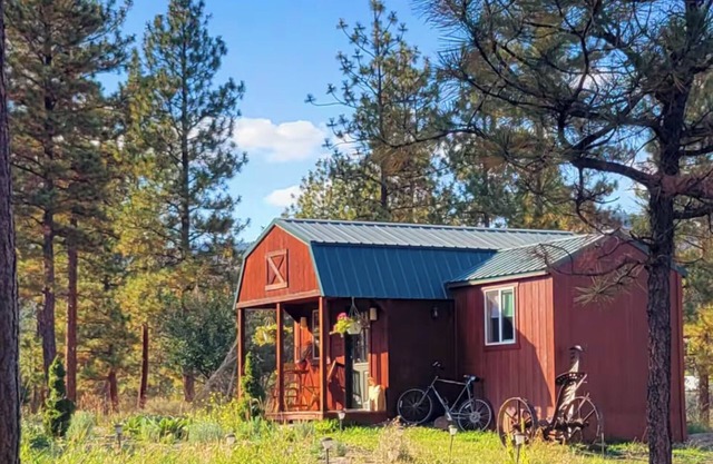 Cozy Cabin in the Pines