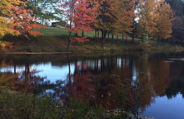 Cozy & Charming Farm House just 85 miles north of NYC