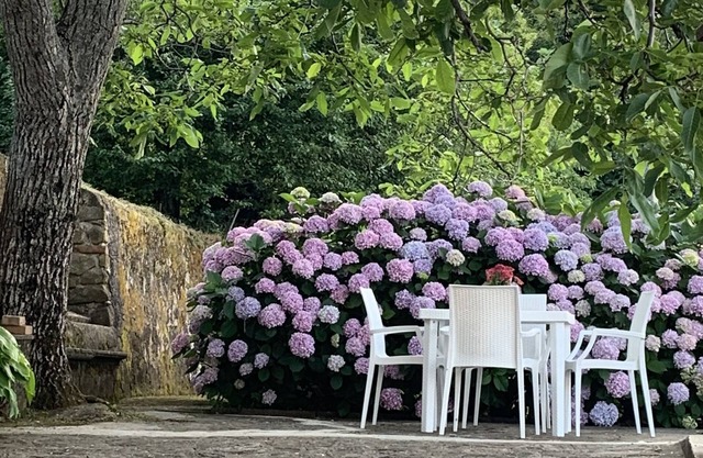 Cozy, comfortable, surrounded by greenery in the historic center
