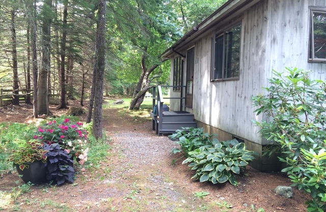 Cozy cottage in woods, 5-min walk to ocean & town