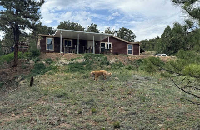 Cozy private retreat in the Wet Mountains with 5 acres to roam on. Pet Friendly!