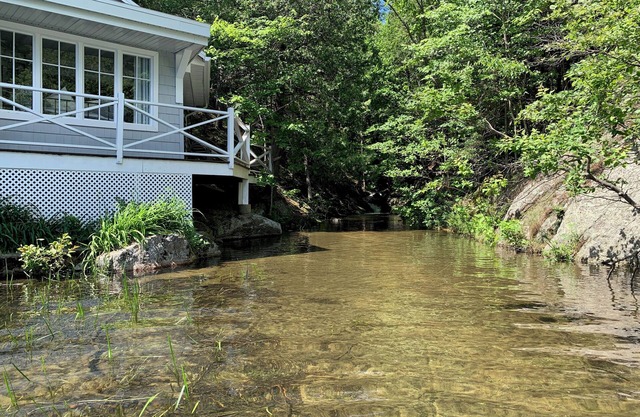 Cozy, renovated rustic cottage on the shore of beautiful navigable laken