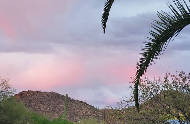 Cozy RV with AC and WiFi in Serene Tucson
