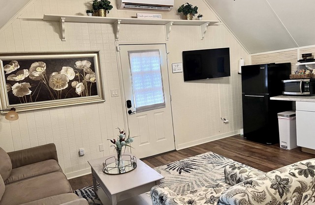 cozy studio