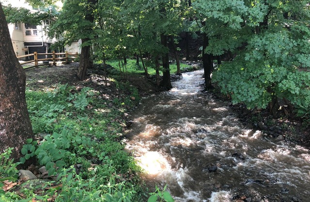 Creekside Lodge on the Delaware River with a Seasonal Creek in the side yard
