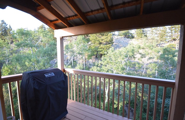 Crowsnest Riverside Cabin- 42 km from Castle Mountain Ski Resort