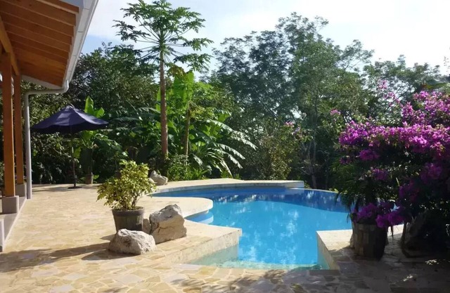 Custom Eco Home, Private, Pool, Canopy View. From $229 per night