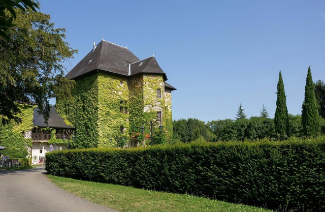 Dégustations de Vin ! Chateau, Piscine sur place