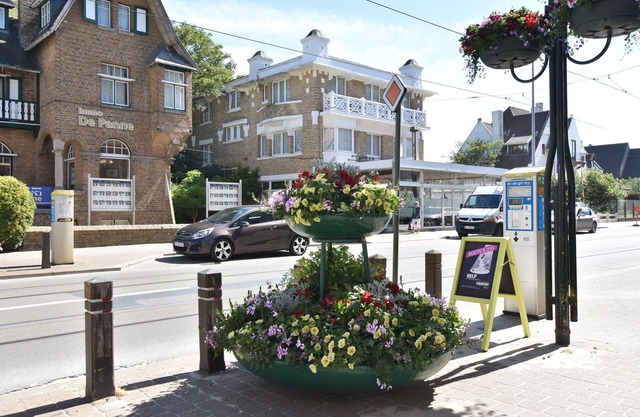 De Panne Large Family Stay