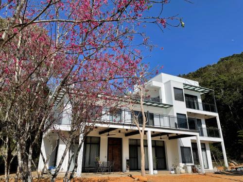 Dear house Homestay