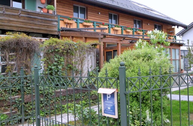 Dennenboomdroom