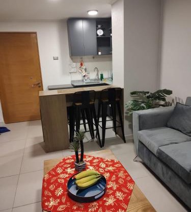 Departamento excelente en Santiago