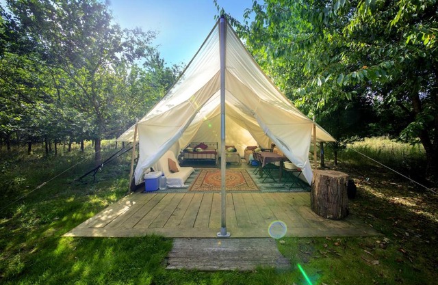 DGG Woodland Escape