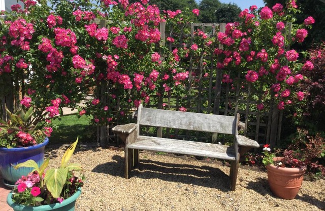 Disabled friendly BnB with gorgeous garden