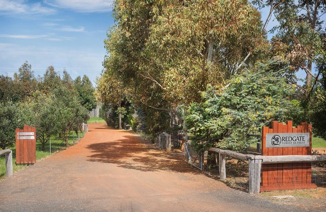 Djarlma at Redgate Forest Retreat