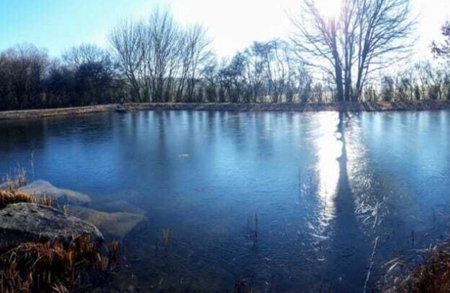 Dog-friendly vacation home with lake, 3000m² fenced park, panoramic sauna and fireplace
