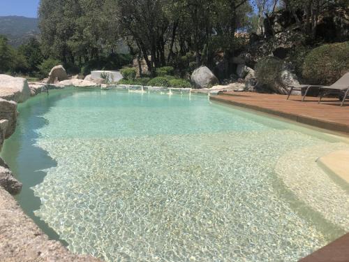 Domaine Pardini