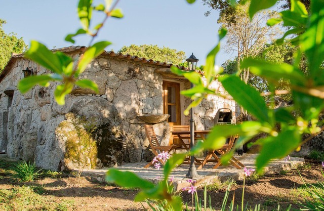 Domaine Pardini - Casetta Listincu