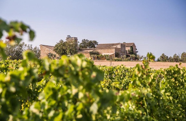 Domaine Sainte Suzanne