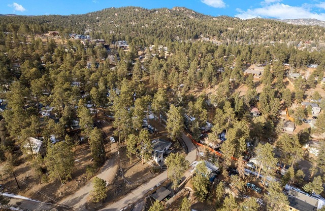Downtown Evergreen & 10miles to Red Rocks Amphitheatren equipped for long stays