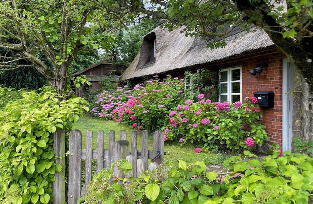 Dream vacation in a stylish thatched-roof house in a rural setting