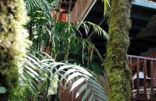 Eco-Cabin apartment inside Cloudforest