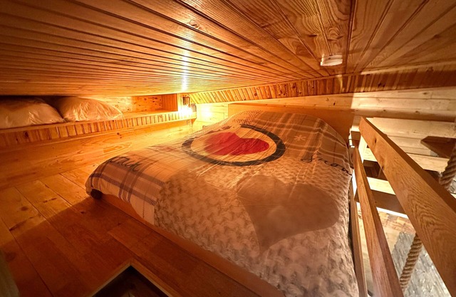 Elegant chalet apartment in the heart of Greolieres les Neiges resort
