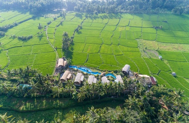 Elegant villa villa in Ubud