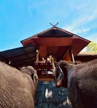 Elephant view terrace chiang mai บ้านระเบียงชมช้าง