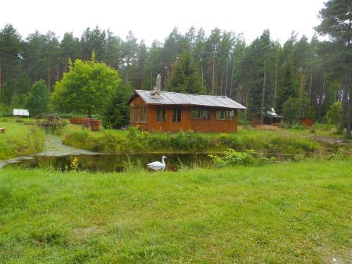Elulõng Camping