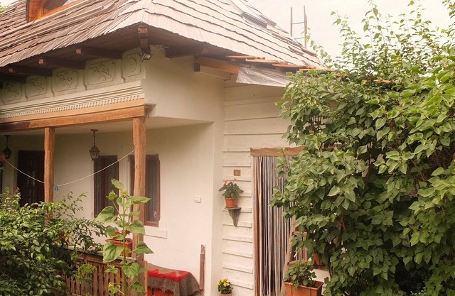 Enchanting Old Traditional House & Garden near Forest close to Curtea de Arges