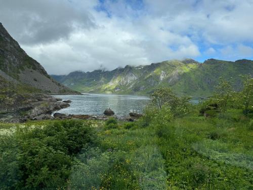Enebolig med Eventyrlig beliggenhet like ved sjøen i Lofoten