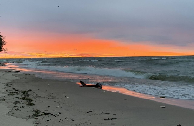 Enjoy Breathtaking Sun Rises On The Sandy Lake Michigan Shoreline!