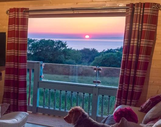 Enlli Fach cabin sleep's 2 adults and 2 children 2 dogs welcome not suitable for contract workers due to parking height restrictions