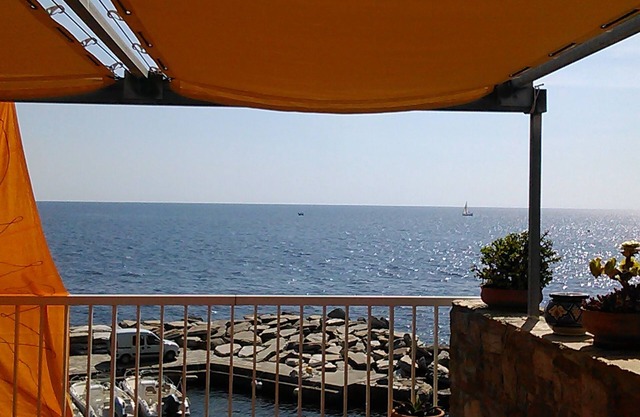 Erbalunga Brando: Apartment with terrace on the sea - Erbalunga - Brando