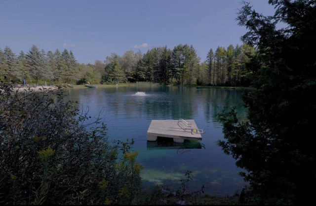 Escape to a Charming Treehouse Nestled on a Peaceful Estate in Clarington
