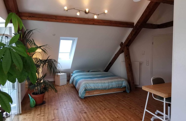 Exclusive penthouse - on the border to Switzerland. 30 min. Zurich or Rhine Falls
