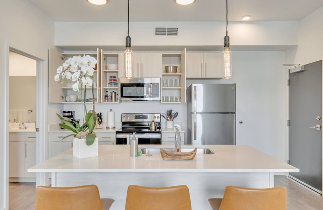 Executive 1BR/1BA CoWorking Dream Space