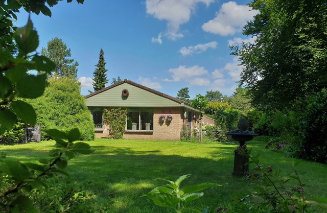 Experience the peace, space and nature of the Veluwe