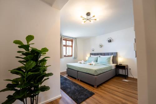 Fachwerk Design-Apartment Sinsheim