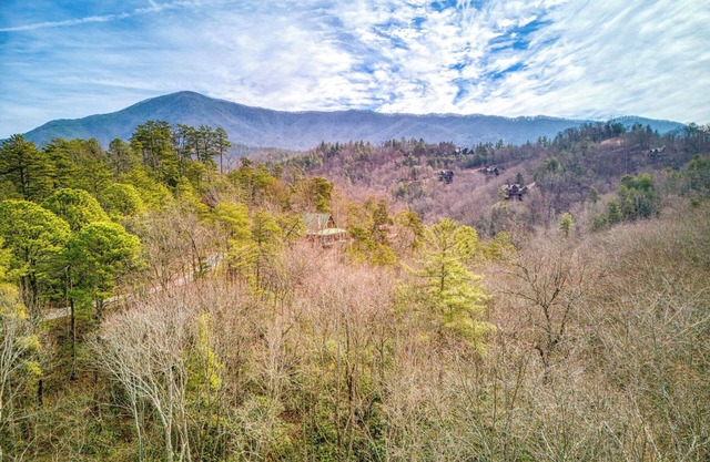 Family Cabin w/Hot Tub/Mountain View/Firepit/Corn Hole/Arcade/Foosball/Secluded