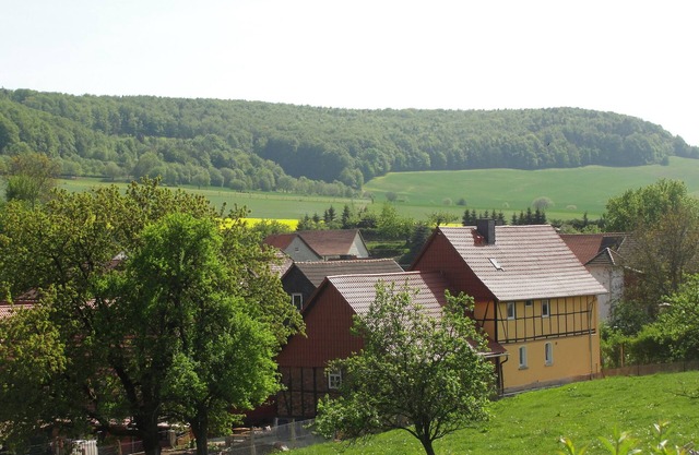 Family-friendly spacious and luxurious detached vacation home for 8 to 9 people