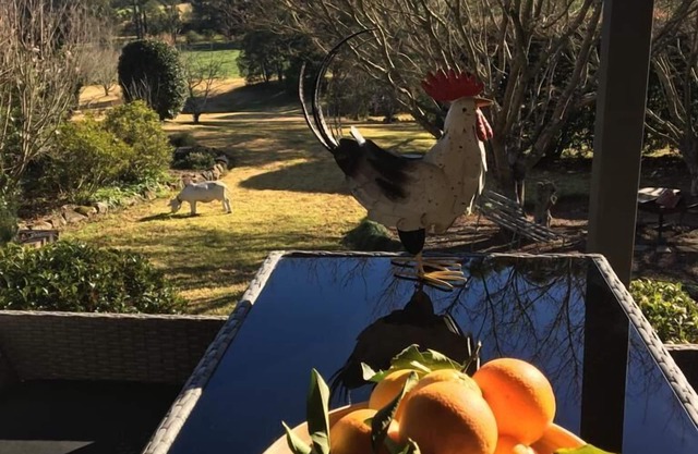Farm Escape - Spacious Cottage in Kangaroo Valley
