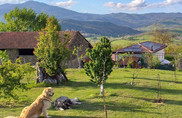 FARM WITH ENCLOSED GARDEN SURROUNDED BY THE WOODS FOR WALKING VIEWS